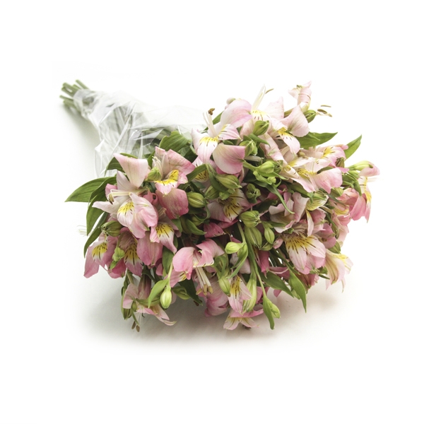 Maço De Alstromelias Cor De Rosa -10 hastes NAO CONTEM EMBALAGEM PARA PRESENTE