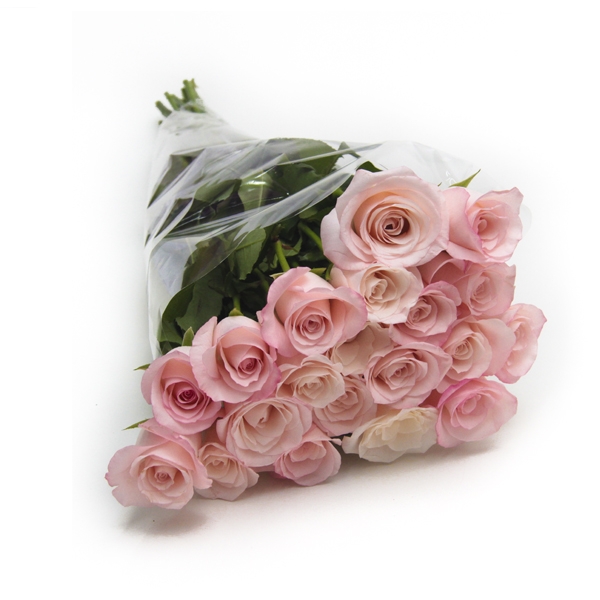 unidade de rosa cor de rosa-NÃO CONTEM EMBALAGEM