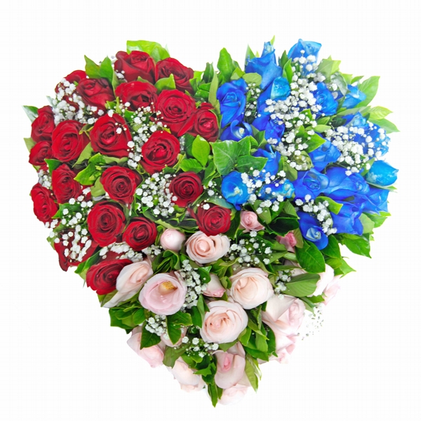 Maravilhoso Buque com 60 rosas coloridas e 3 cores diferentes