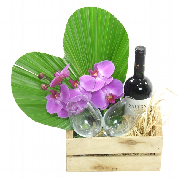 Meu Amor Vamos brindar A Nossa Paz Orquídea Lilas