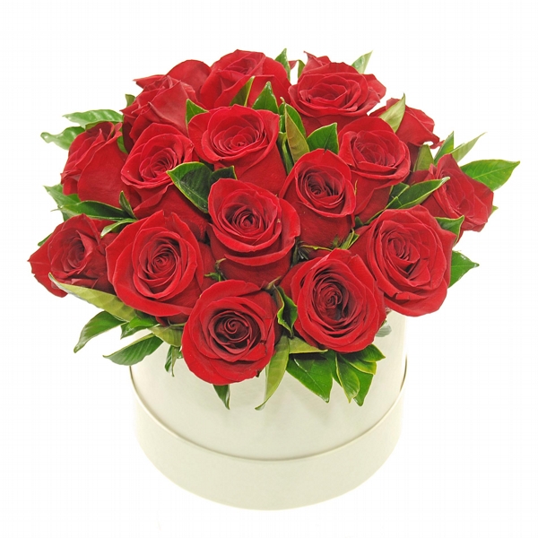 Coleção Especial Rosas Vermelhas Com Amor