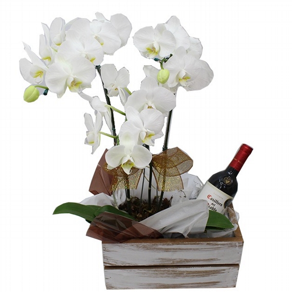 Orquidea Plantada Com Vinho Casillero Del Diablo