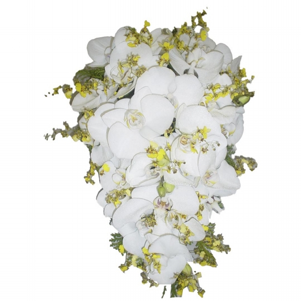 Buque de noiva cascata orquídeas brancas