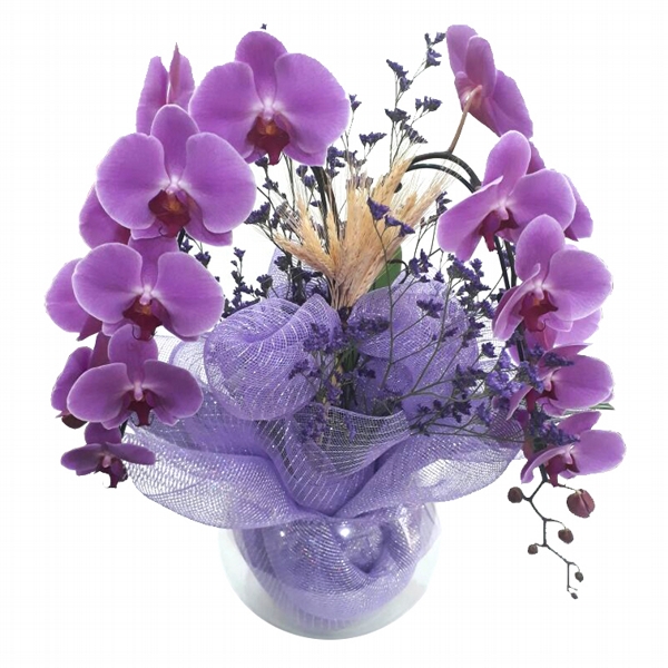 Orquidea Lilas Cascata No Vaso de Vidro Redondo Com 2 Hastes