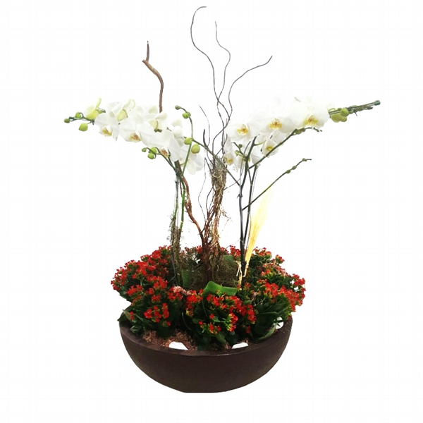 ARRANJO JARDIM DE ORQUIDEAS