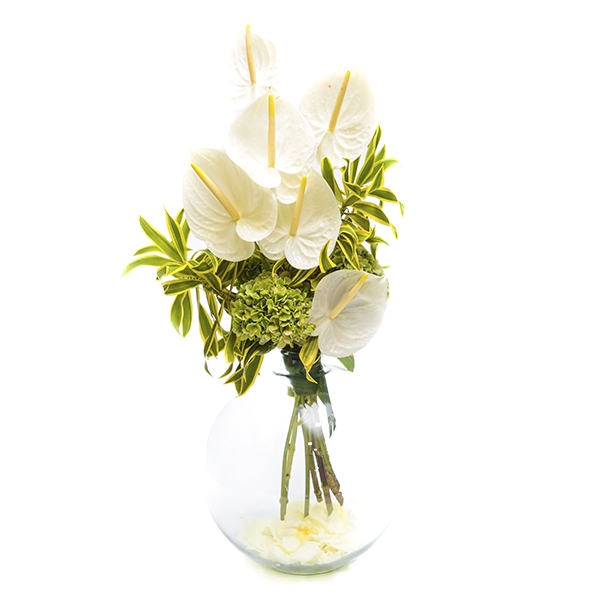 arranjo tropical de flores brancas