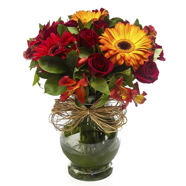 Encanto de Gérberas com Rosas