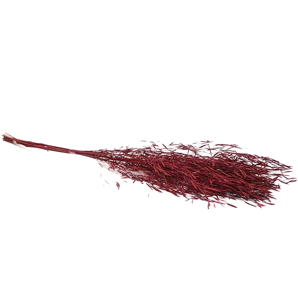 Aspargo Desidratada PINK