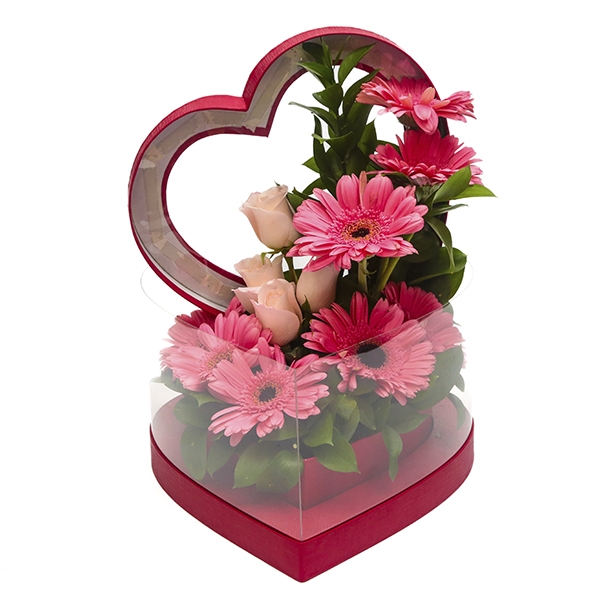 Coração de Gérberas Cor de Rosa