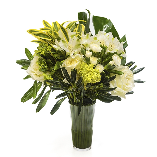 ELEGÂNCIA DE ROSAS BRANCAS