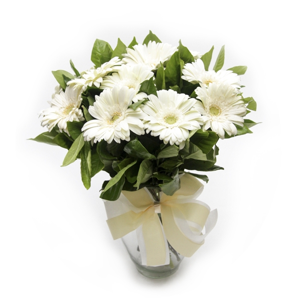 Arranjo de Gerberas Brancas