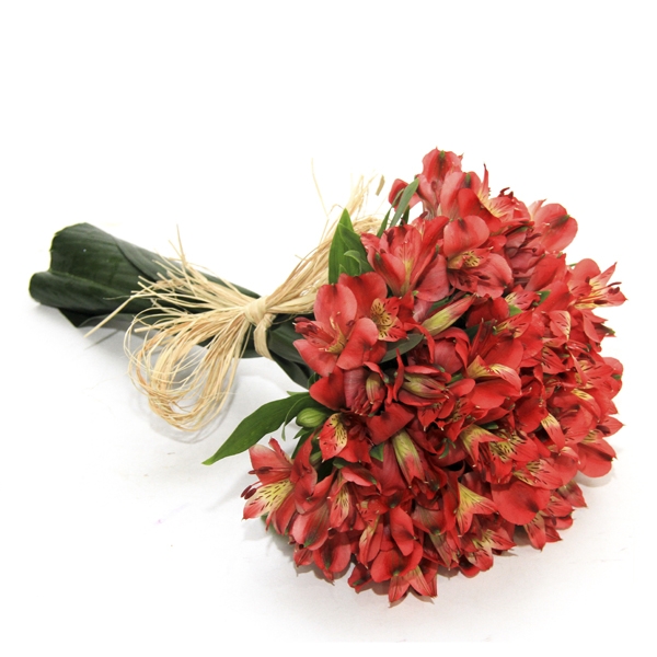 Buquê De Alstromérias Vermelhas No Celofane