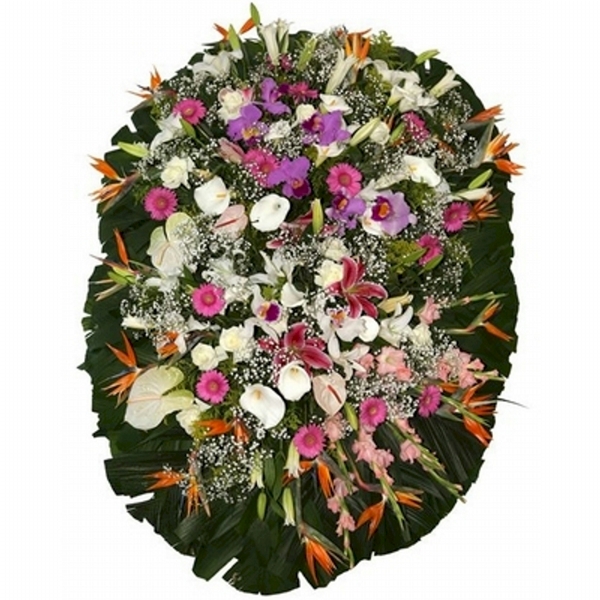 Coroa Gloriosa
